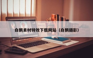 寿光白鹅素材特效下载网站（白鹅摄影）